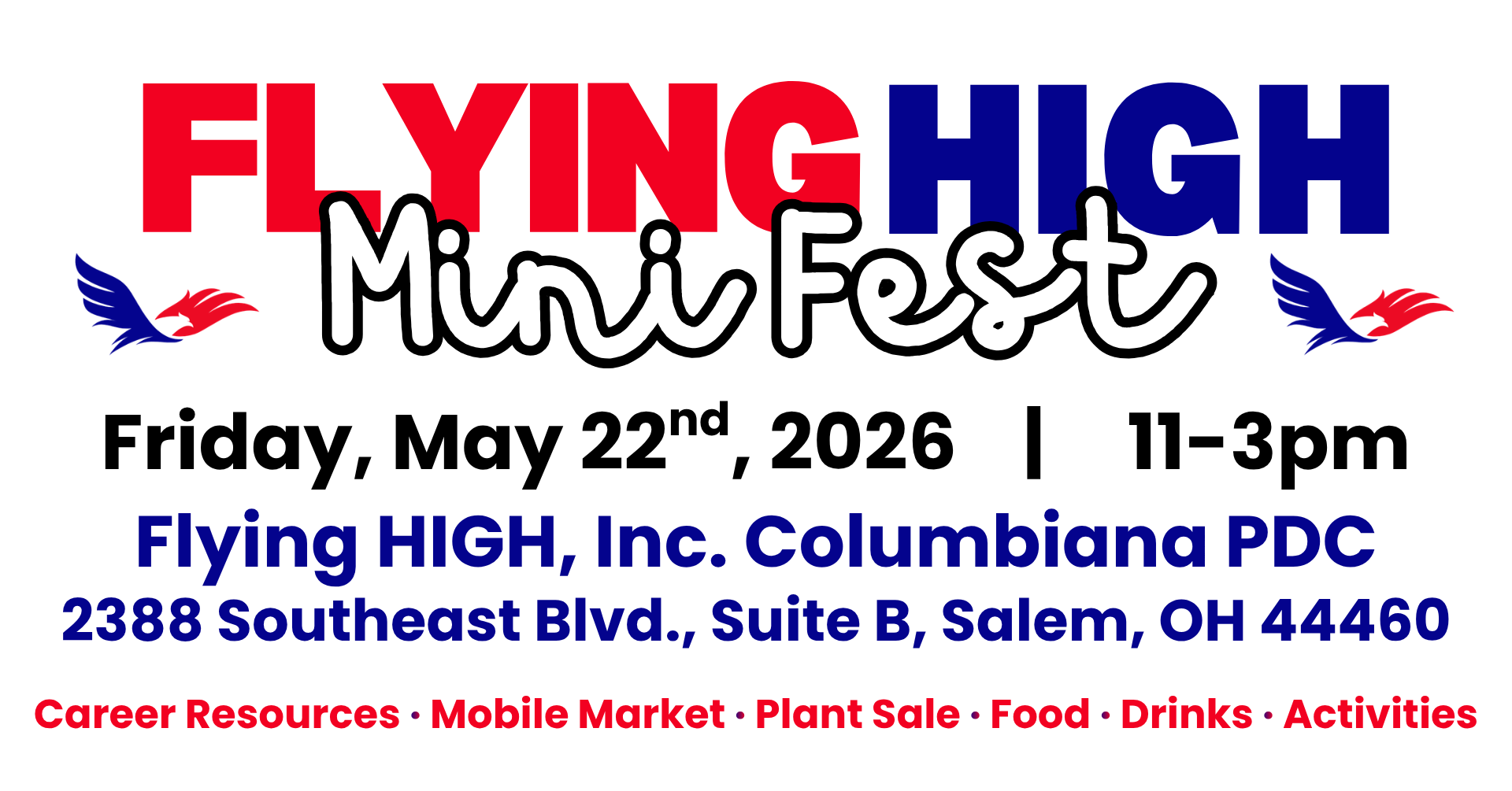 Flying HIGH Mini Fest Banner