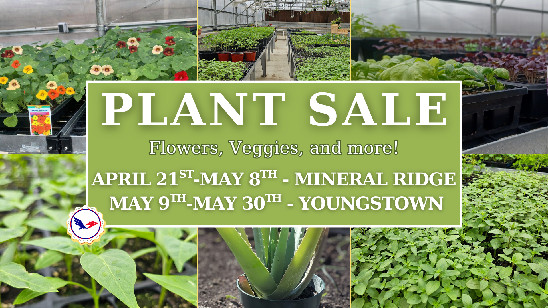 Plant Sale (1920 x 1080 px)